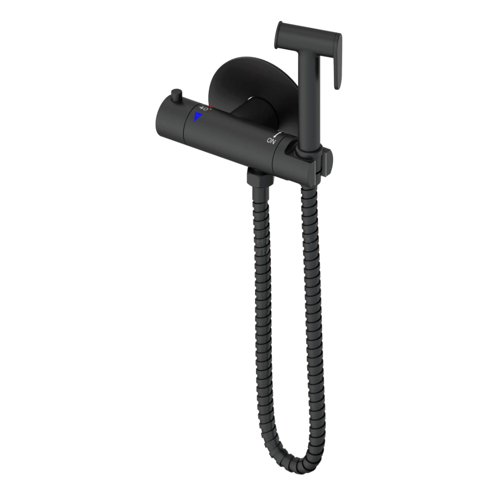 Термостатический смеситель с гигиеническим душем Gerhans K15382B-1