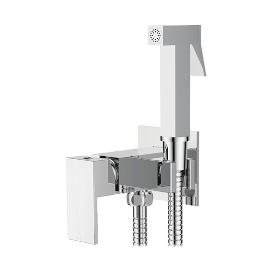 Смеситель с гигиеническим душем Ledeme L5398-8