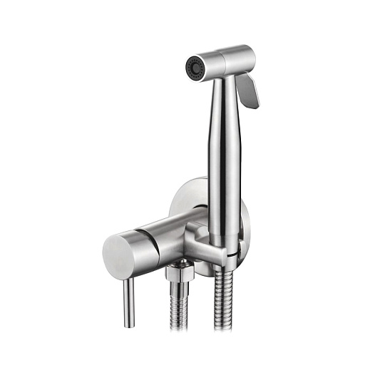 Смеситель с гигиеническим душем Ledeme L75398-2